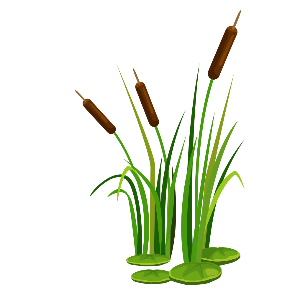 Restaurang Kaveldunet