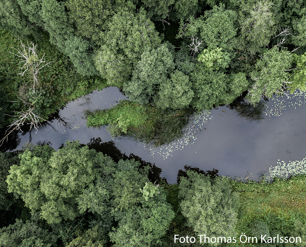 Nossan vid Hudene fotograf Thomas Örn Karlsson